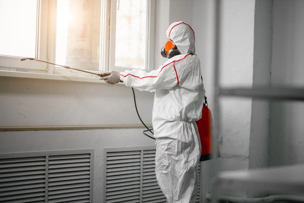 Professional mold remediation services in Mulino, OR